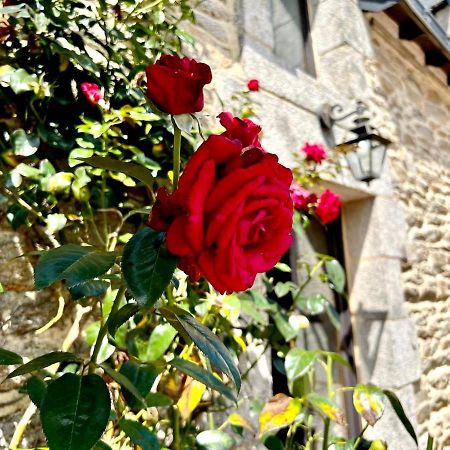 Gite Diamant, Vallee Du Scorff, Nature, Bien-Etre Arzano المظهر الخارجي الصورة